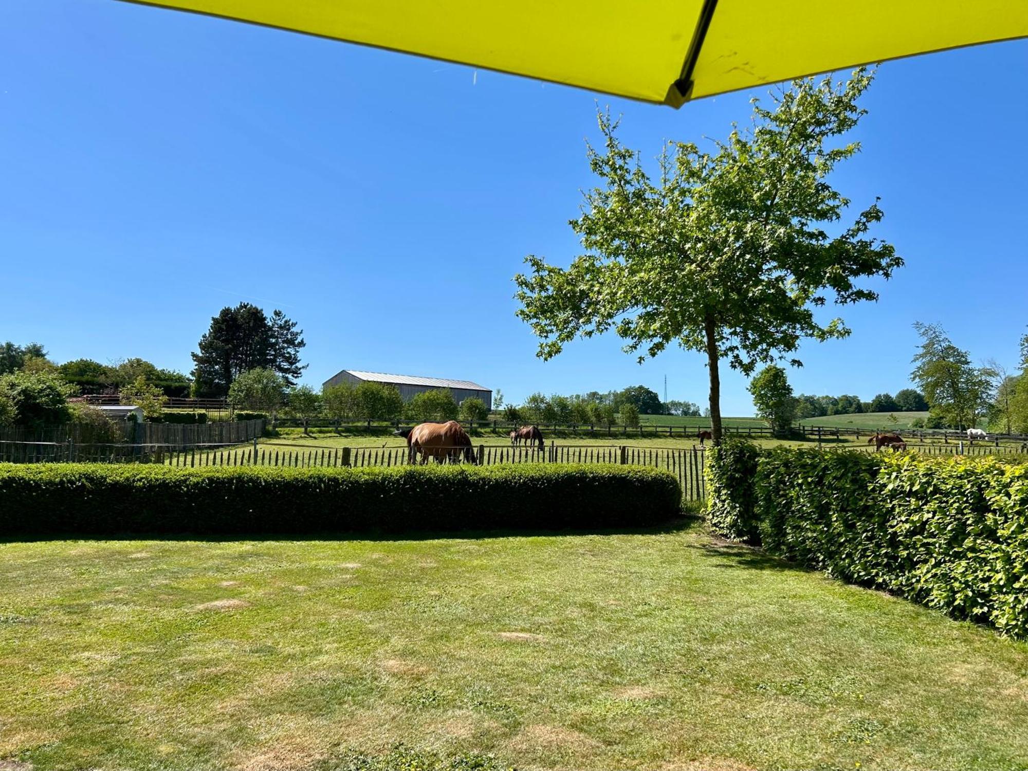 Villa Au Coeur Des Collines, Gloriette Ellezelles Esterno foto