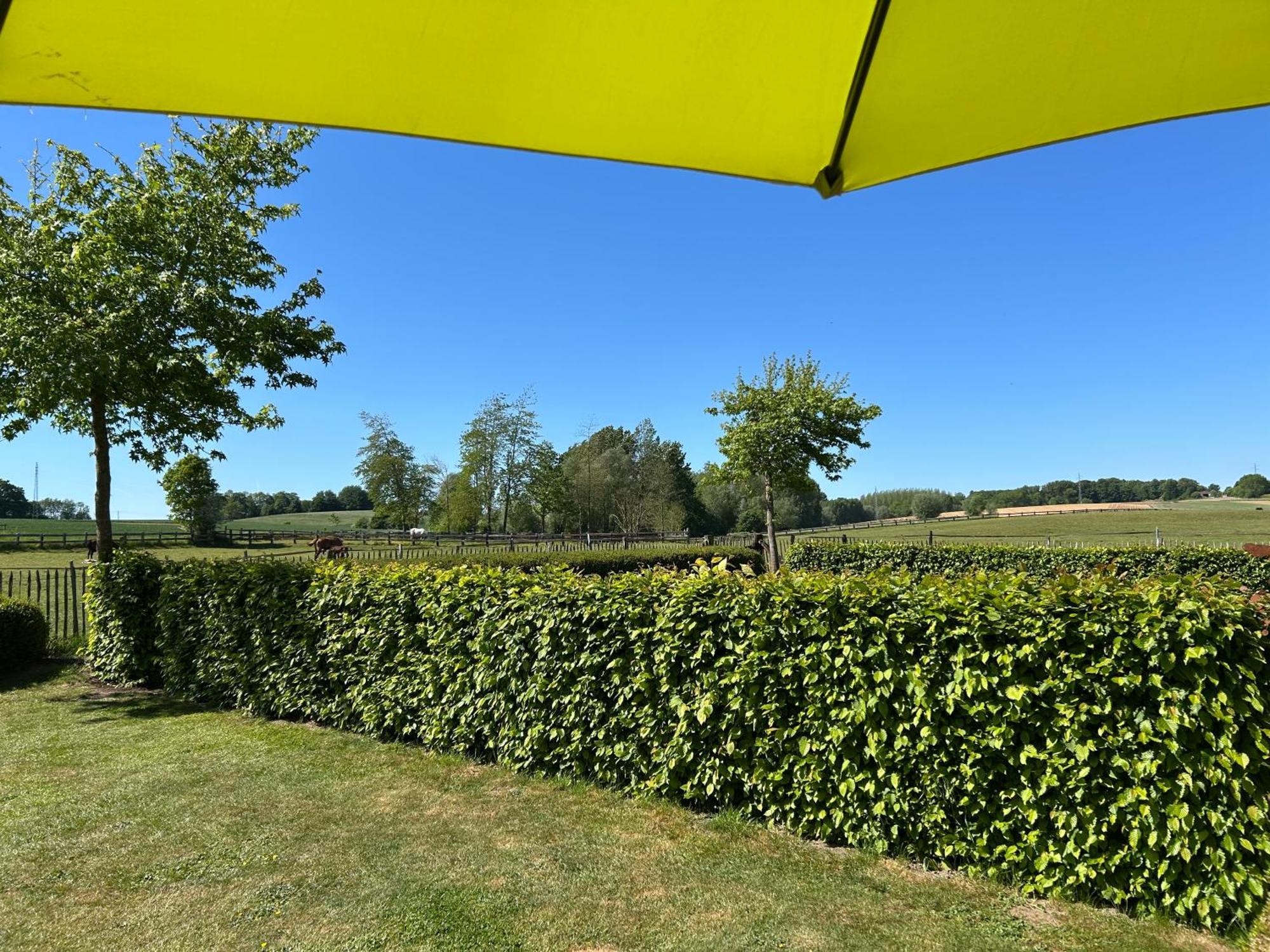 Villa Au Coeur Des Collines, Gloriette Ellezelles Esterno foto